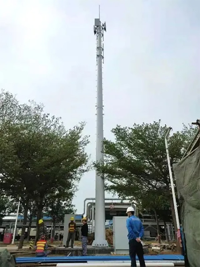 1617842138870002.jpg 2.jpg