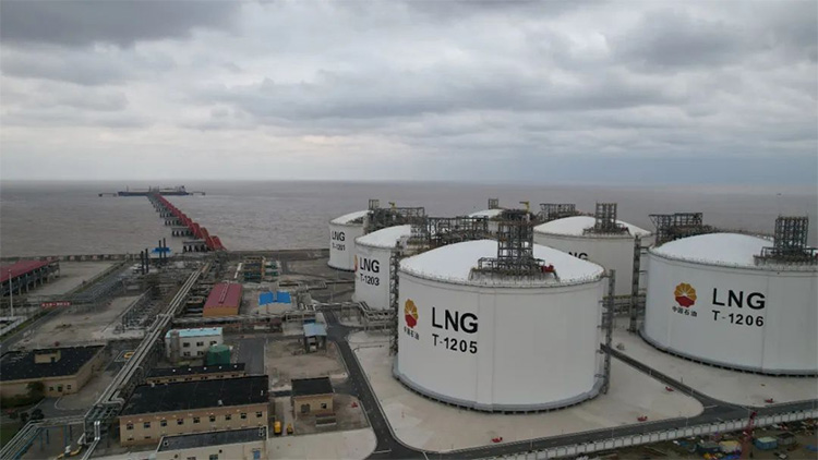 1670308687834828.jpg 9.jpg