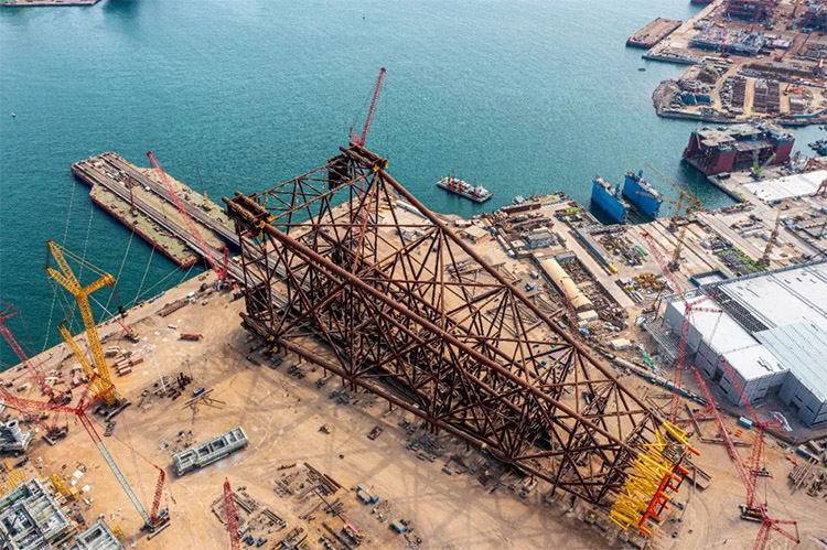 1679970208122891.jpg 8.jpg