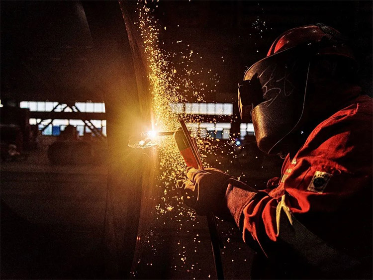 1679970245388445.jpg 10.jpg