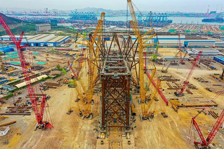 1679970269972293.jpg 12.jpg