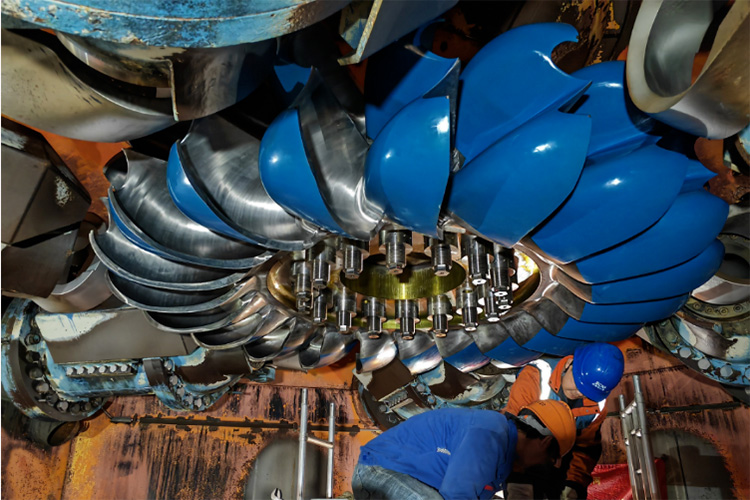 1706686670445596.jpg 5.jpg