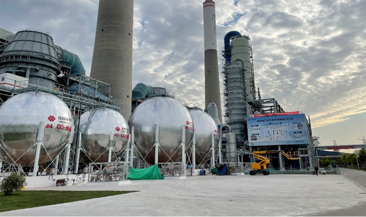 1706686697669005.jpg 7.jpg